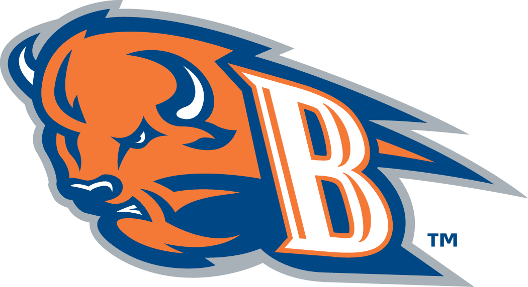 Bucknell Bison 2002-Pres Alternate Logo iron on transfers for clothing